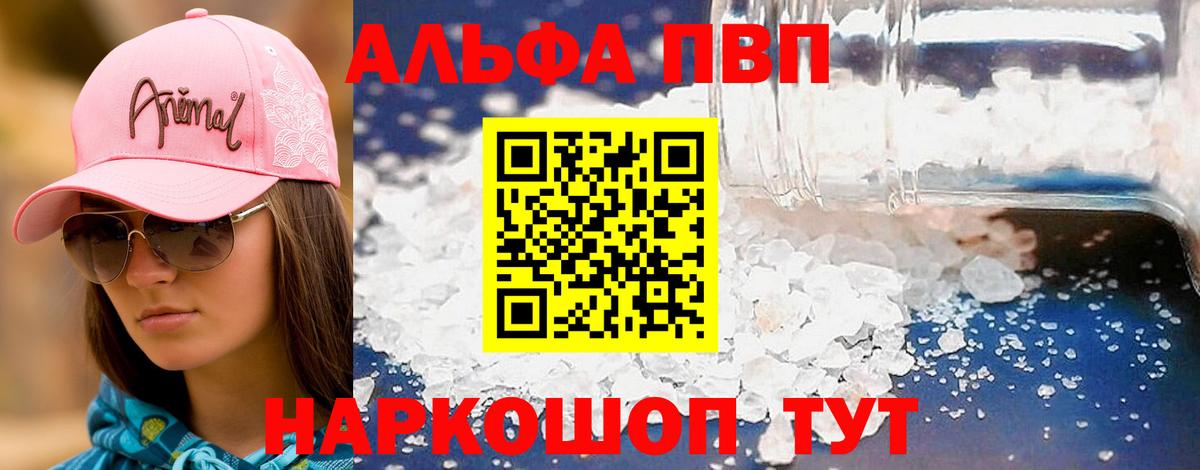 Альфа ПВП СК Туапсе