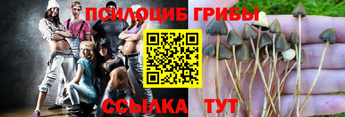Галлюциногенные грибы Psilocybine cubensis  Вход с VPN  Туапсе 