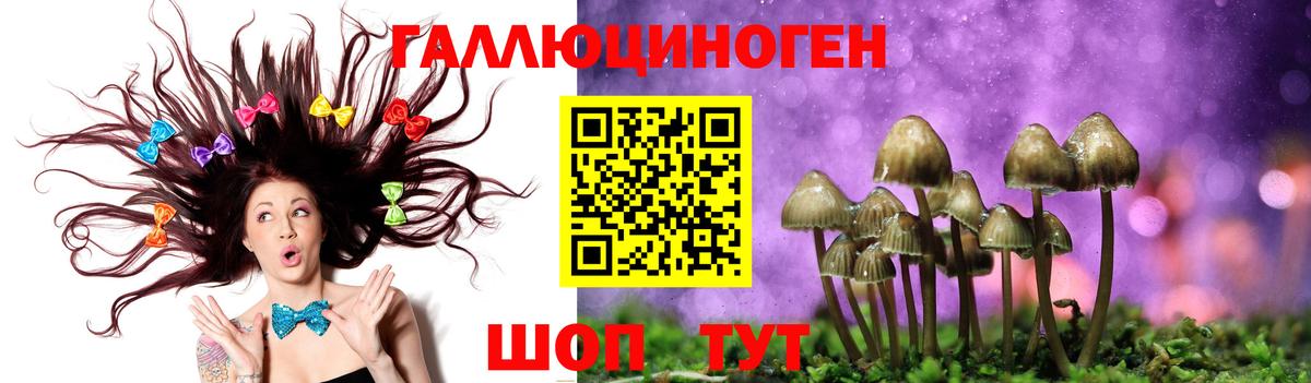 Псилоцибиновые грибы прущие грибы Туапсе